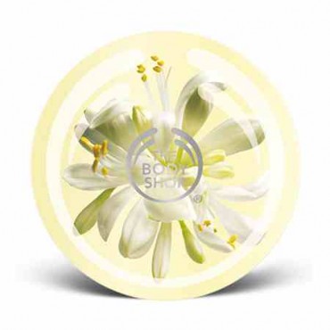 The Body Shop Moringa Body Butter
